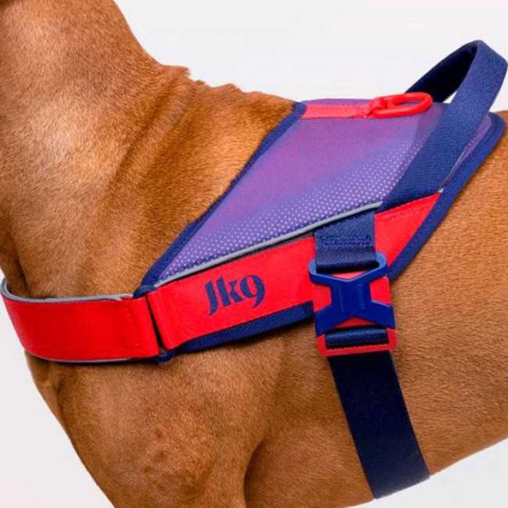 Street-harness Pettorina Viola JULIUS-K9&reg;