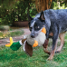 Shakers Honkers Duck Large Kong 1 Pezzo