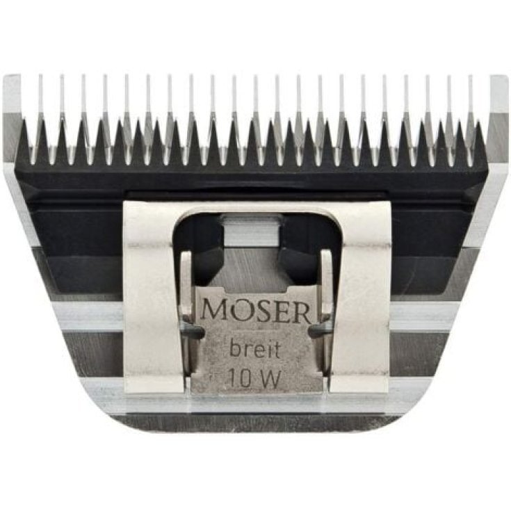 Testina Large 2.3mm 1221-5840 Moser 1 Pezzo