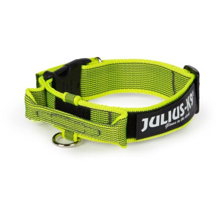 Color & Gray Giallo Fluo Tg.L&nbsp;Julius-K9