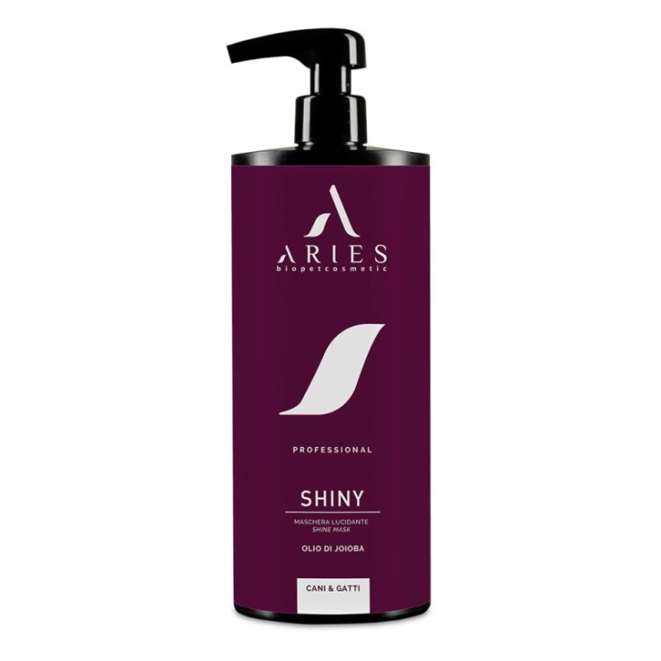 Shiny Bio Maschera Lucidante Aries 1000ml