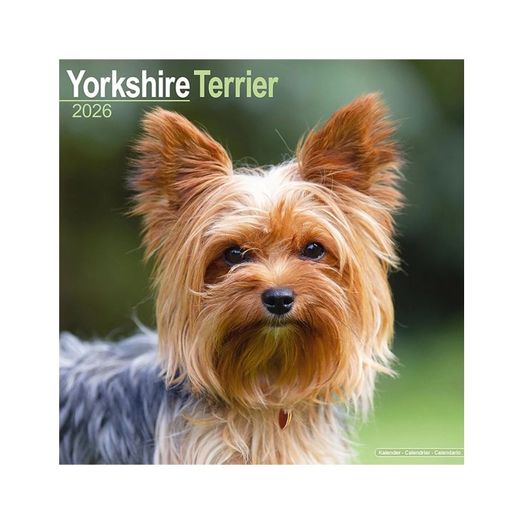 Calendario Yorkshire Record 30,5x30,5cm