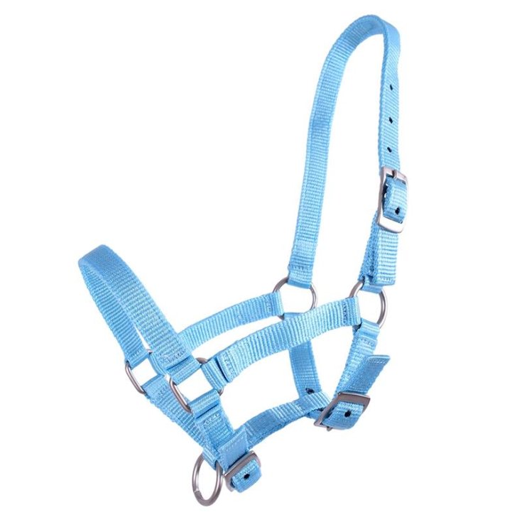 Capezza in Nylon Regolabile per Puledri Colori Assortiti