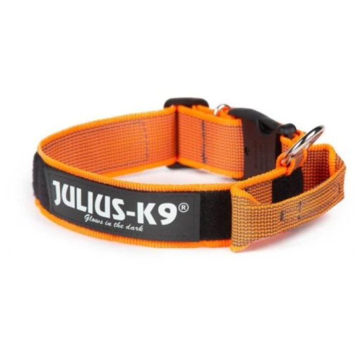 Collare Color&Grey Arancione 2 Julius-K9 1 Pezzo