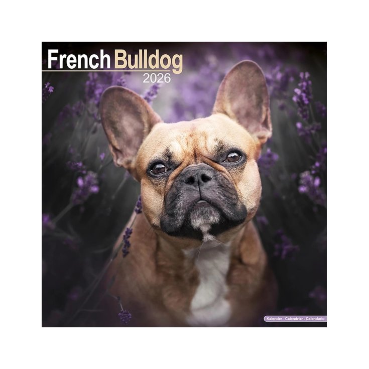 Calendario con Foto di Cani Buldog Francese