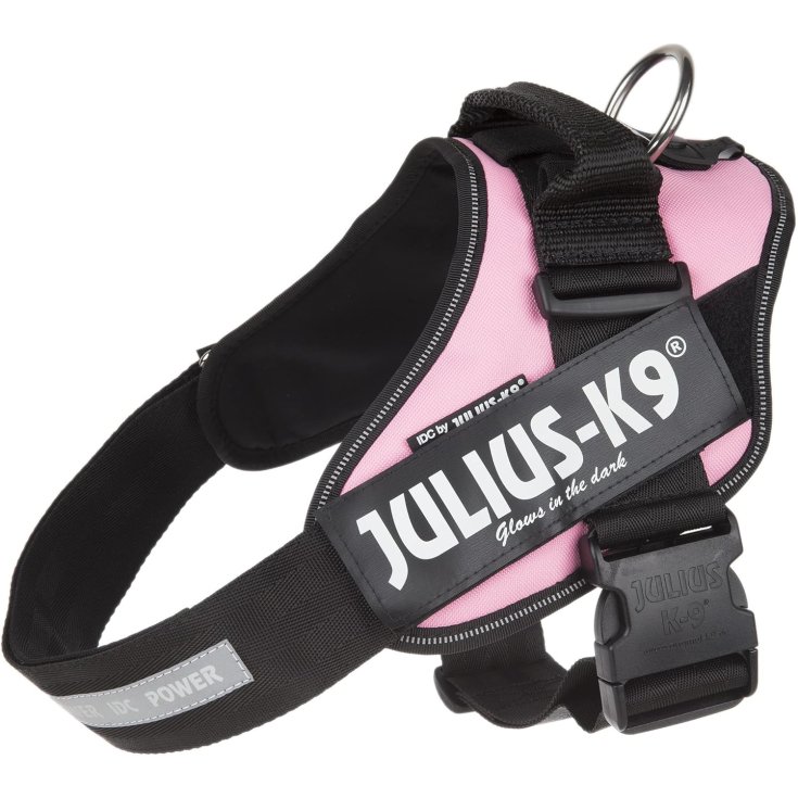 Pettorina Julius K9 2XS 33-45 cm 2-5 kg Viola 1 Pezzo