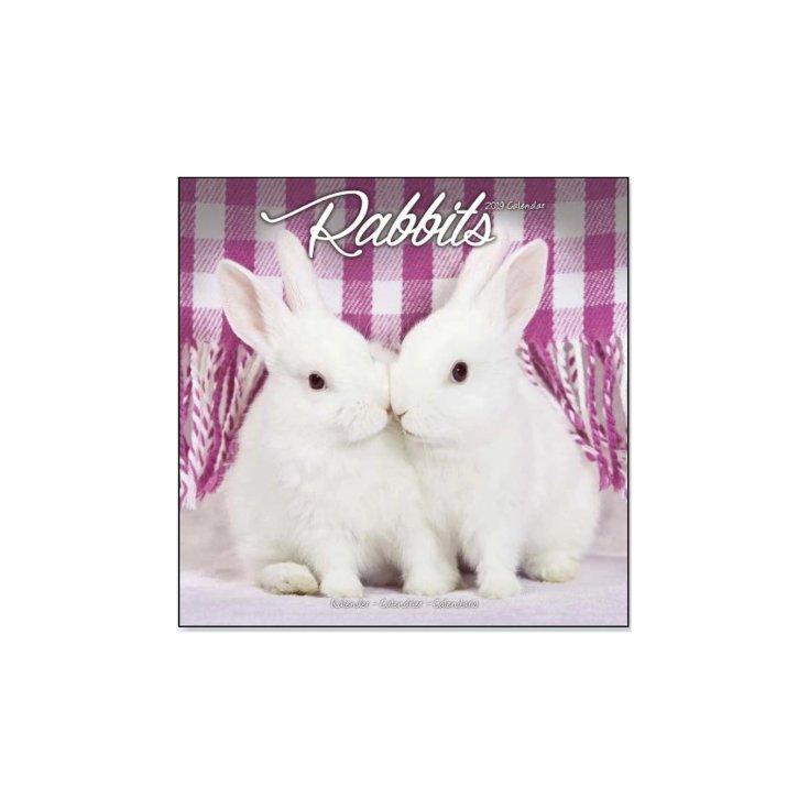 Calendari con Roditori Record 30,5x30,5cm