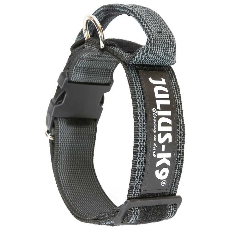Color & Gray Collare Con Maniglia JuliusK9 1 Pezzo