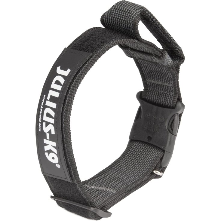 Color & Gray Collare Con Manico Richiudibile Julius K9 1 Pezzo
