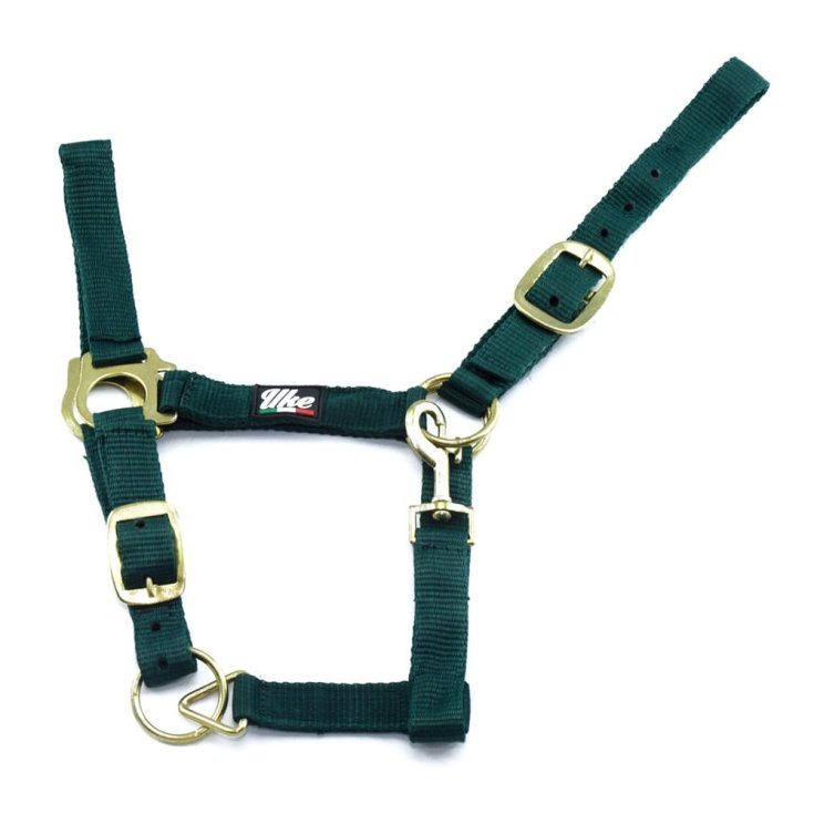 Cavezza Nylon Doppia Regolazione Verde
