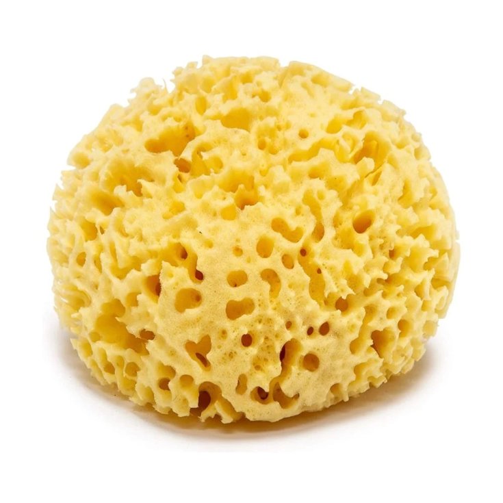 Spugna Mare Naturale 12cm Baby Star