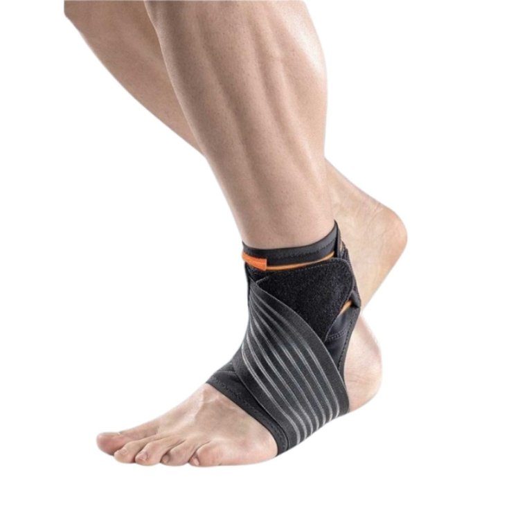 Cavigliera con Tiranti Elastica Ad&nbsp;8 Malleolite&nbsp;Tg.M