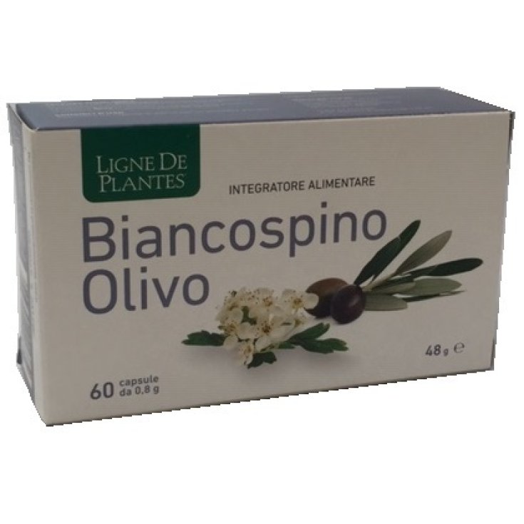 Biancospino Olivo 60 Capsule