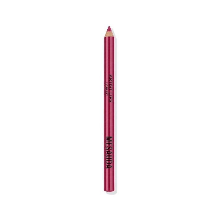 Artist Lips Berry Mesauda 1,14g