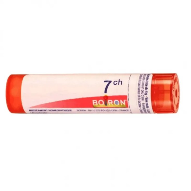 Boiron Sambucus Nigra 7CH 80 Granuli Omeopatici 4gr