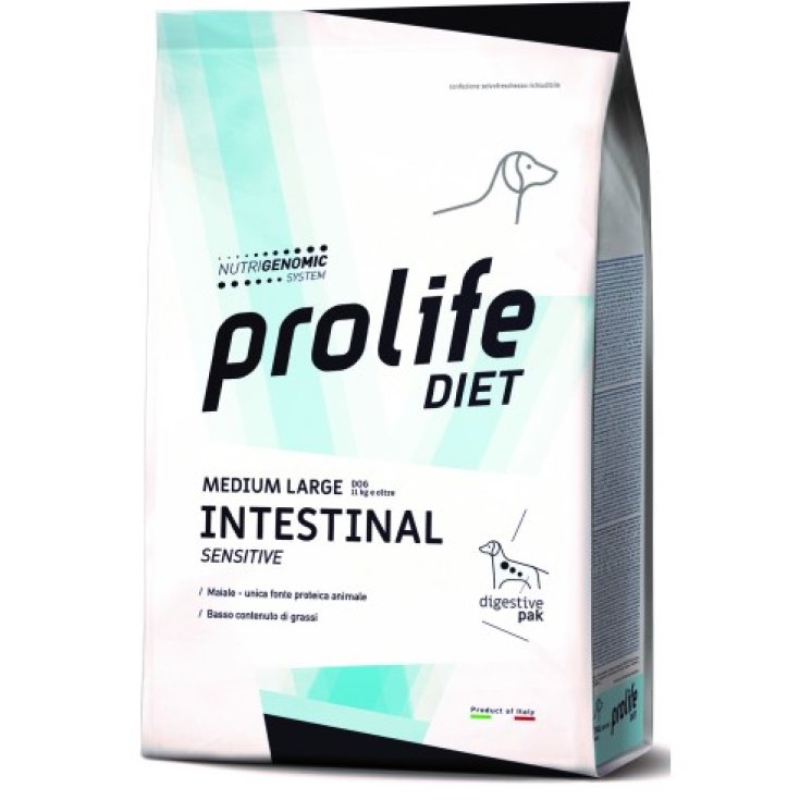 Dog Medium Large  Intestinal Sensitive - 2KG