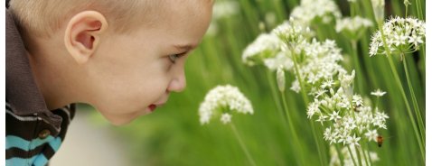Qual è il miglior rimedio dopopuntura per i bambini?