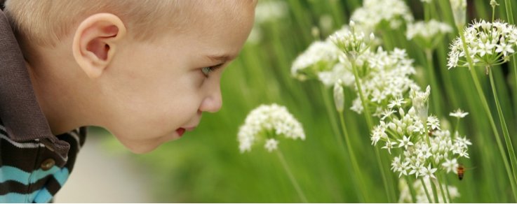 Qual è il miglior rimedio dopopuntura per i bambini?