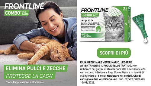 promo frontline