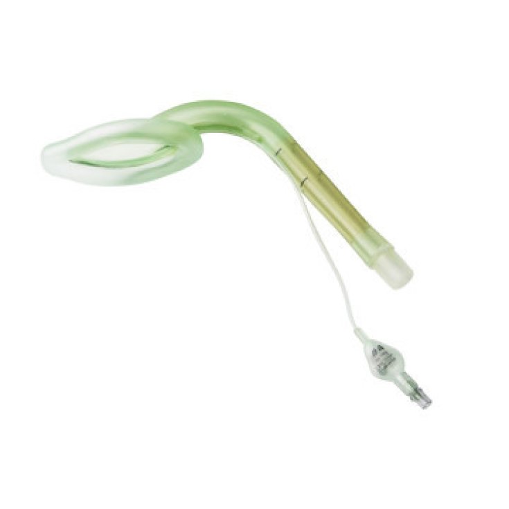 Gima Lampadina di Ricambio per Scialitiche a 3 Luci