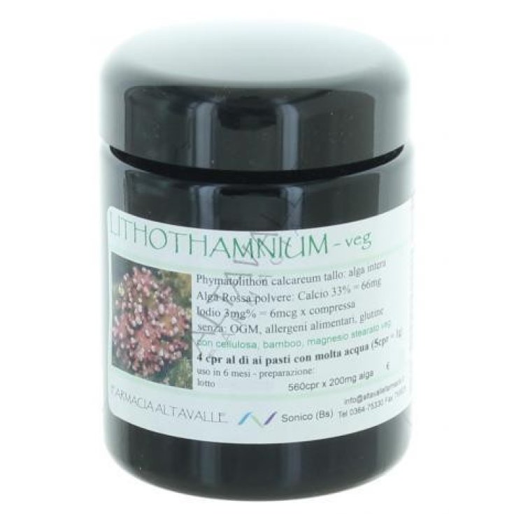 Altavalle Fitoterapia Inulina in Polvere, 90 g Altavalle Fitoterapia Inulina in Polvere, 90 g