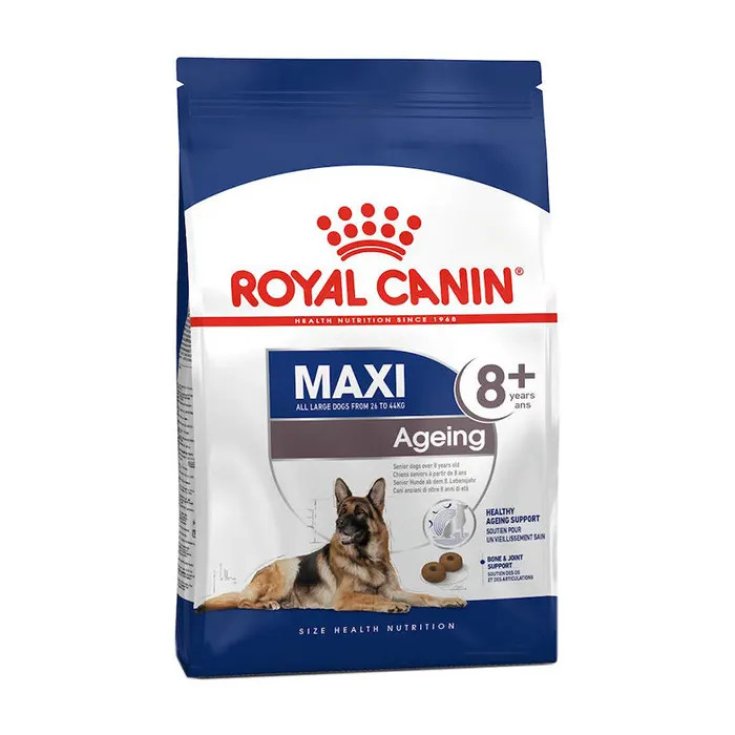 Royal Canin Maxi Ageing 8+ Alimento Secco per Cani Taglia Grande - 3kg