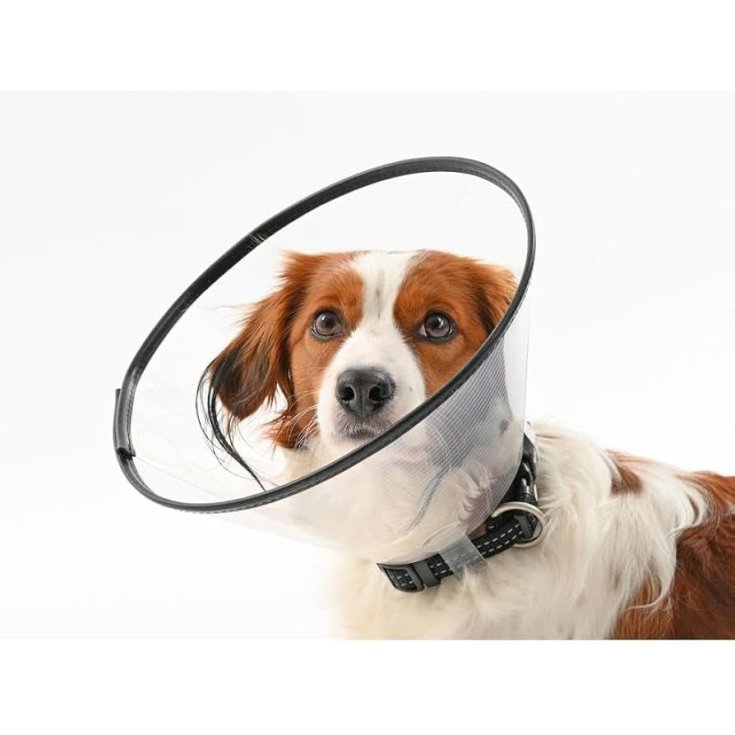 Buster Collare Elisabettiano Trasparente 12,5 cm