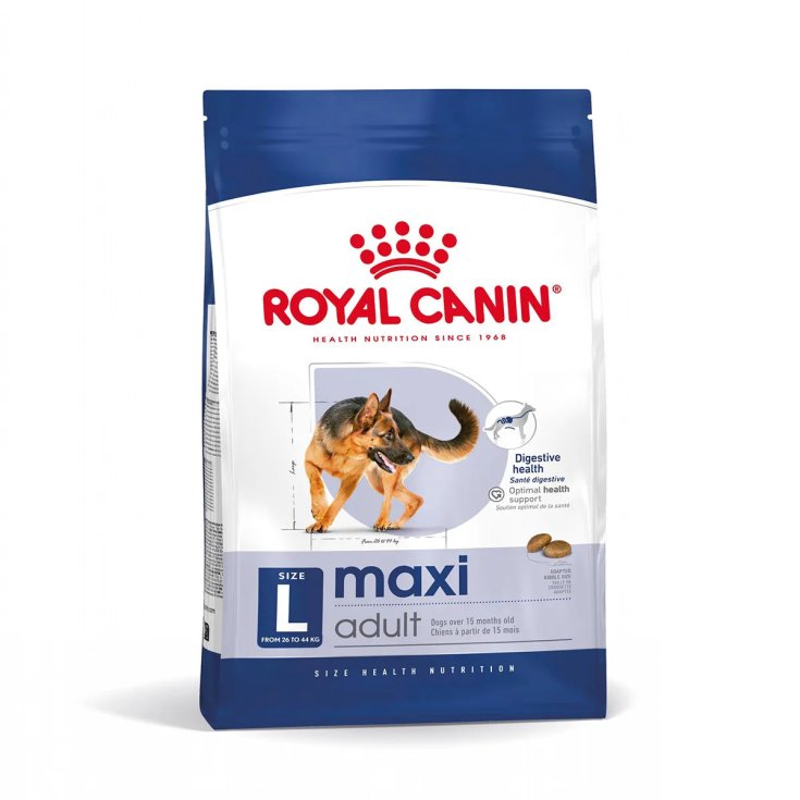 Royal Canin Maxi Adult, 12 kg - Alimento Completo Cani Taglia Grande