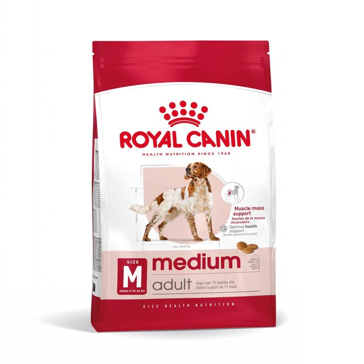Royal Canin Medium Adult 12 Kg, Alimento Completo per Cani