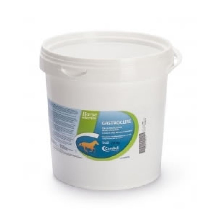 2g Pet Food Guidolin Gianni Equibar Respirity Mangime Cavalli 600g