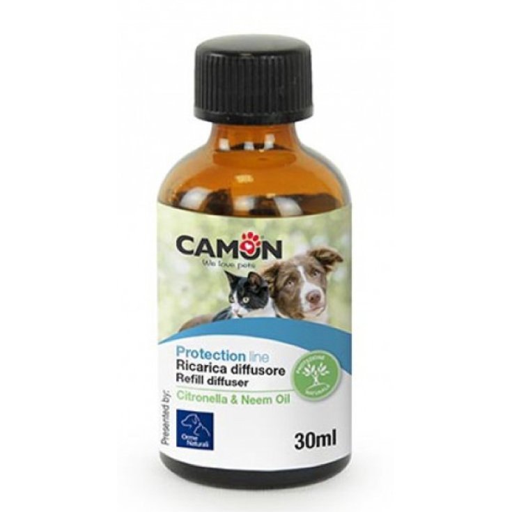 Scandia Ricarica Classic Thè Verde Profumatore Ambiente 250ml Scandia Ricarica Classic Thè Verde Profumatore Ambiente 250ml