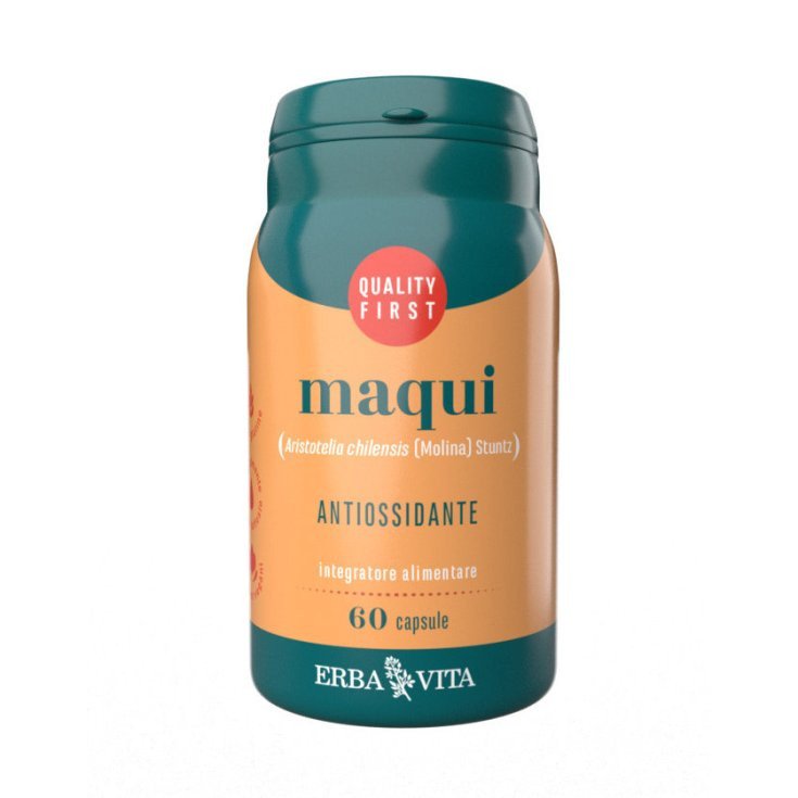 Galeno Maqui Estratto Secco 100g