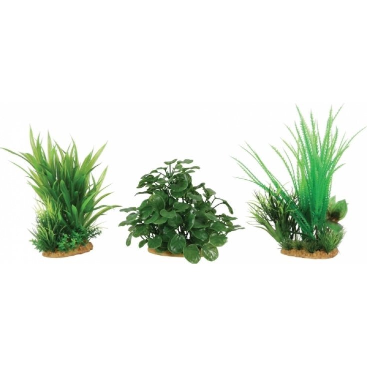 Zolux Espositore 6 Piante Artificiali Aqua Set M