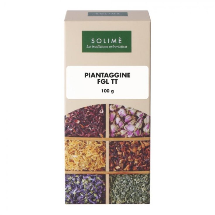 Galeno Piantaggine Foglie Taglio Tisana 100g