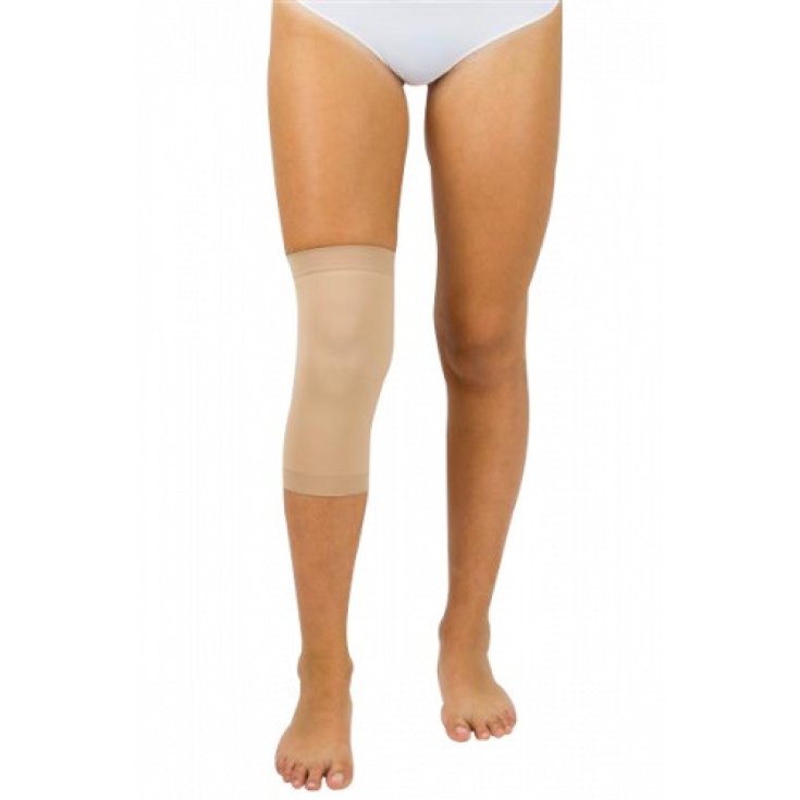 Bernina Ginocchiera KL2 Beige Contenitiva in Cotone Misura 2