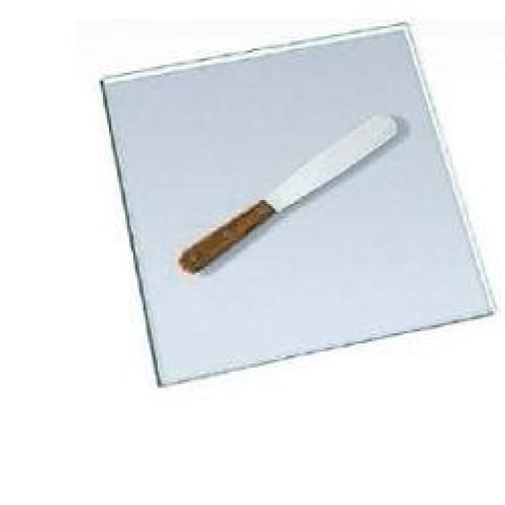 Farmalabor Spatola Inox 2 Palette Strette 6x30mm Lunghezza 210mm