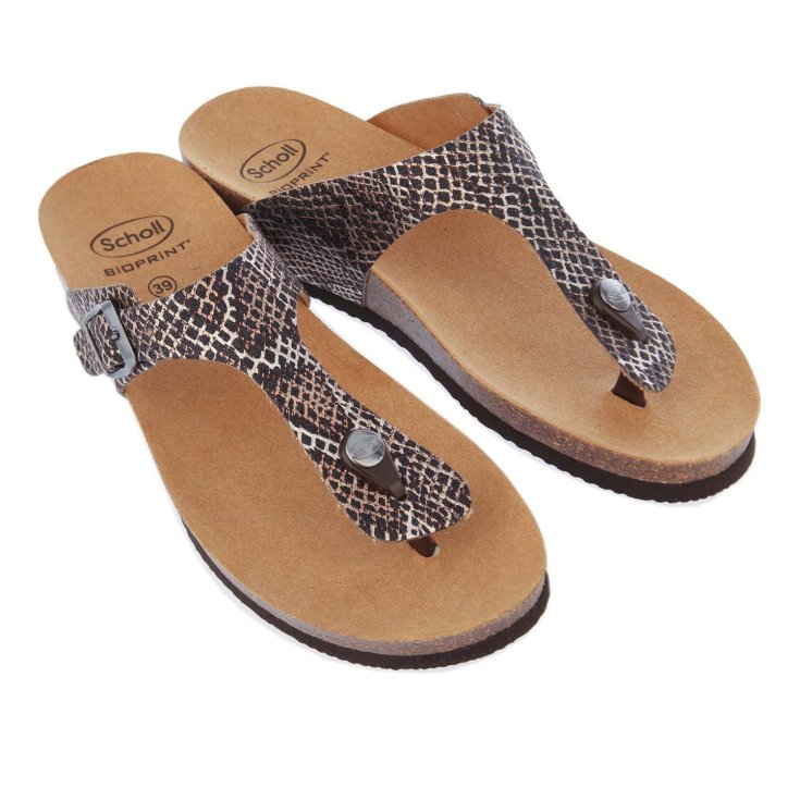 Scholl GANDIA ANIMALIER PR SY W M41 Scarpe