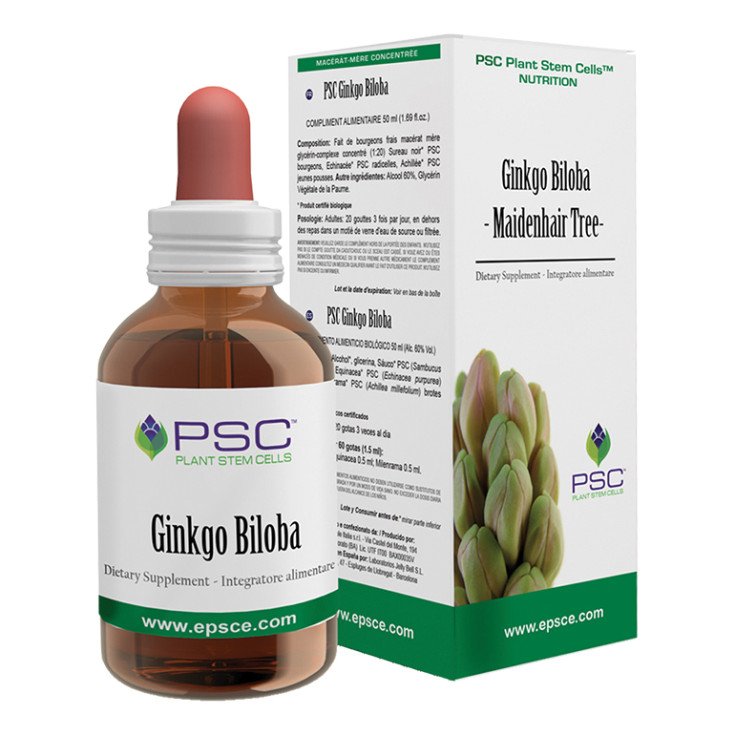 Galeno Ginkgo Estratto Secco 6% 100g