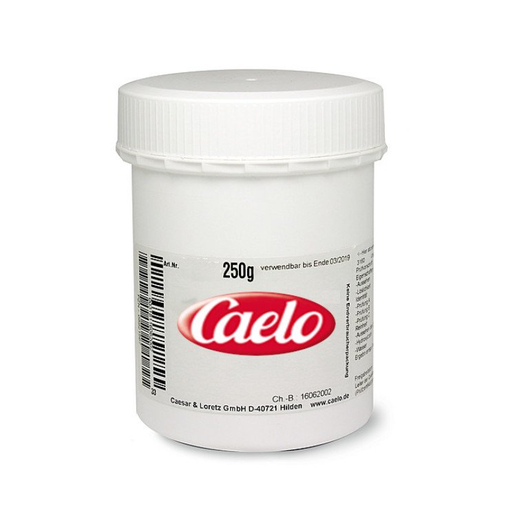Caelo Potassio Sorbato in Polvere 250g