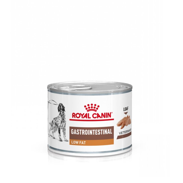 Royal Canin Gastrointestinal Low Fat Pat&egrave; per Cani con Iperlipidemia - 200g
