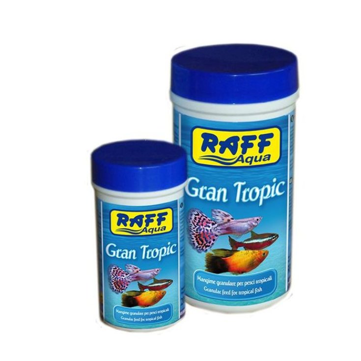 Raff Gran Tropic Mangime Premium per Pesci Tropicali d'Acquario