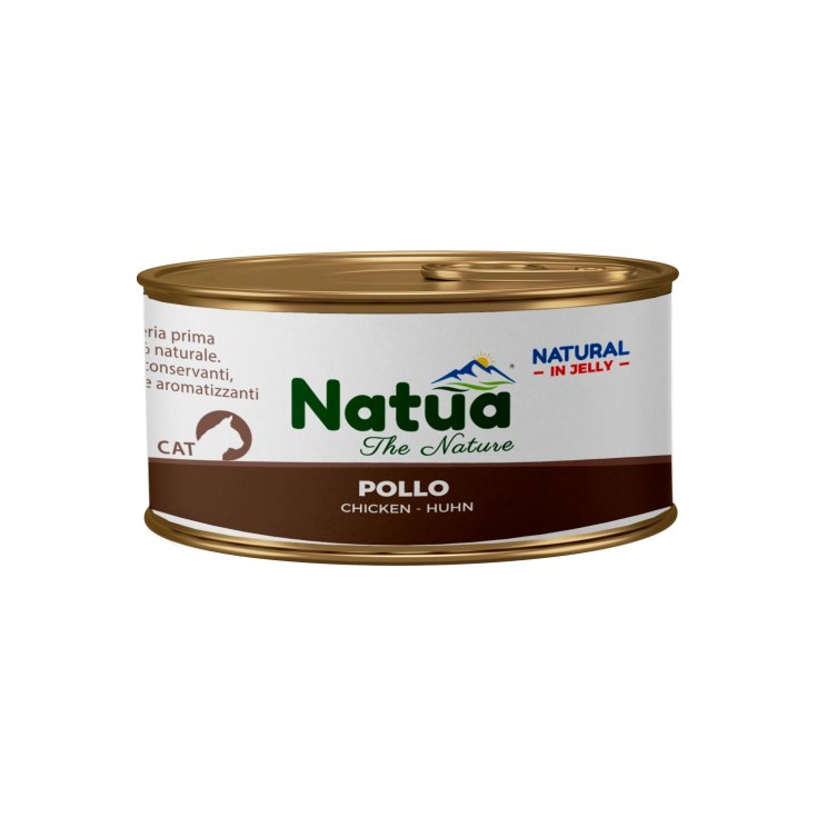 Natua Srl Cat Ckn/Zuc Alimento Gatti - 150g