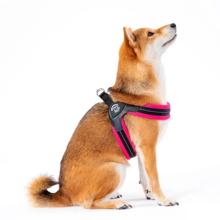 Tre Ponti Savannah Onyx Click Pettorina per Cani Taglia 2.5