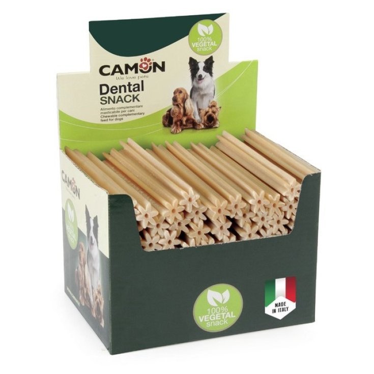 Natural Snack Rice XL 24cm Camon 1 Stick