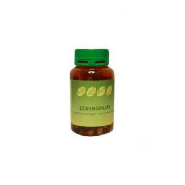 Spazio Verde Italia Echinulase: Integratore per Difese Immunitarie, 60 Capsule