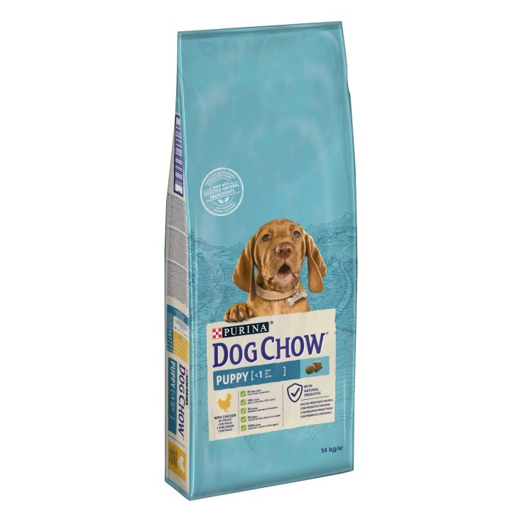 Nestl&eacute; Purina Dog Chow Puppy Pollo 14 Kg