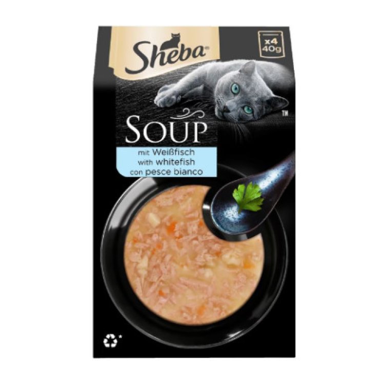 Sheba Soup Pesce Bianco Gatto alimento complementare 40 g, 4 Pezzi