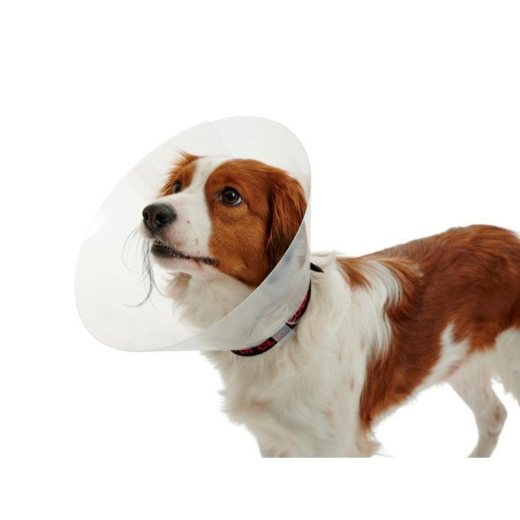 Kruuse Collare Elisabettiano Trasparente per Cani e Gatti 40 cm