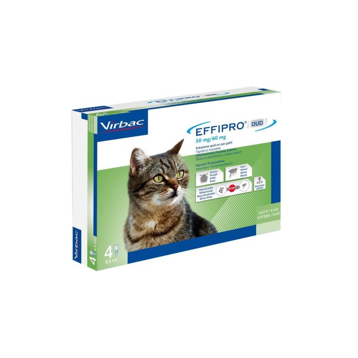 Effipro Duo Gatto - 4X0,50ML