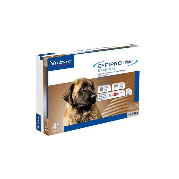 Effipro Duo Cane 4 Pipette - 40 a 60 Kg